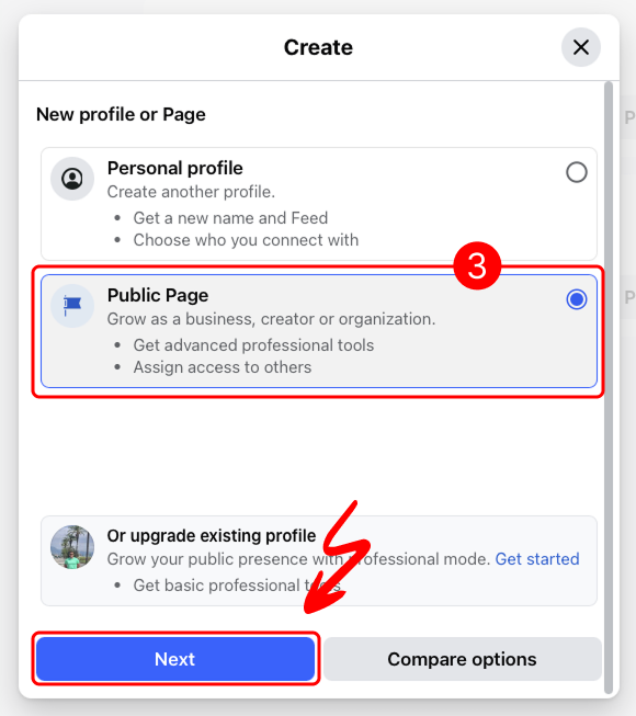 Select Public Page Option