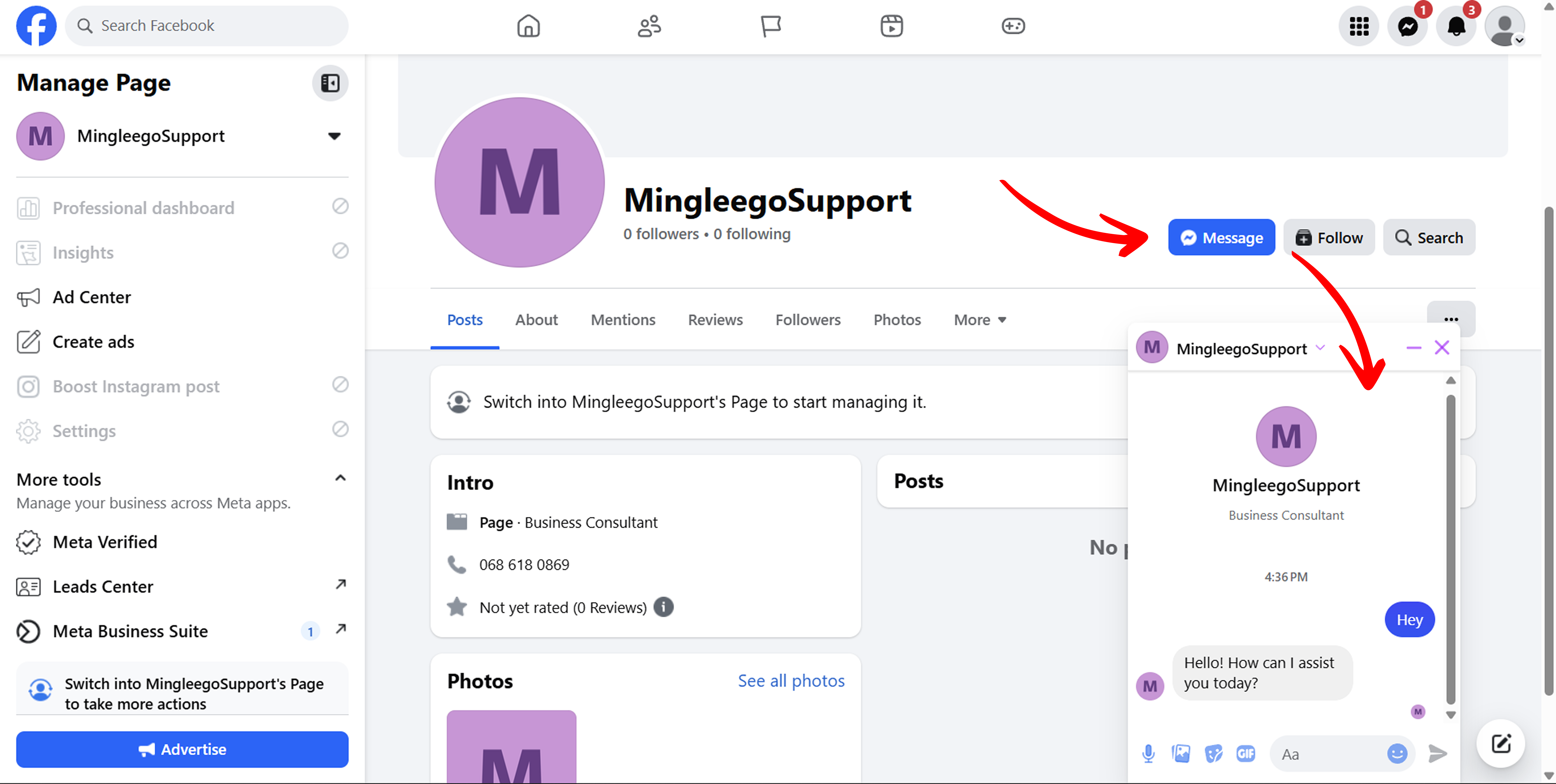 Test Facebook Messenger Bot - Open Chat Window