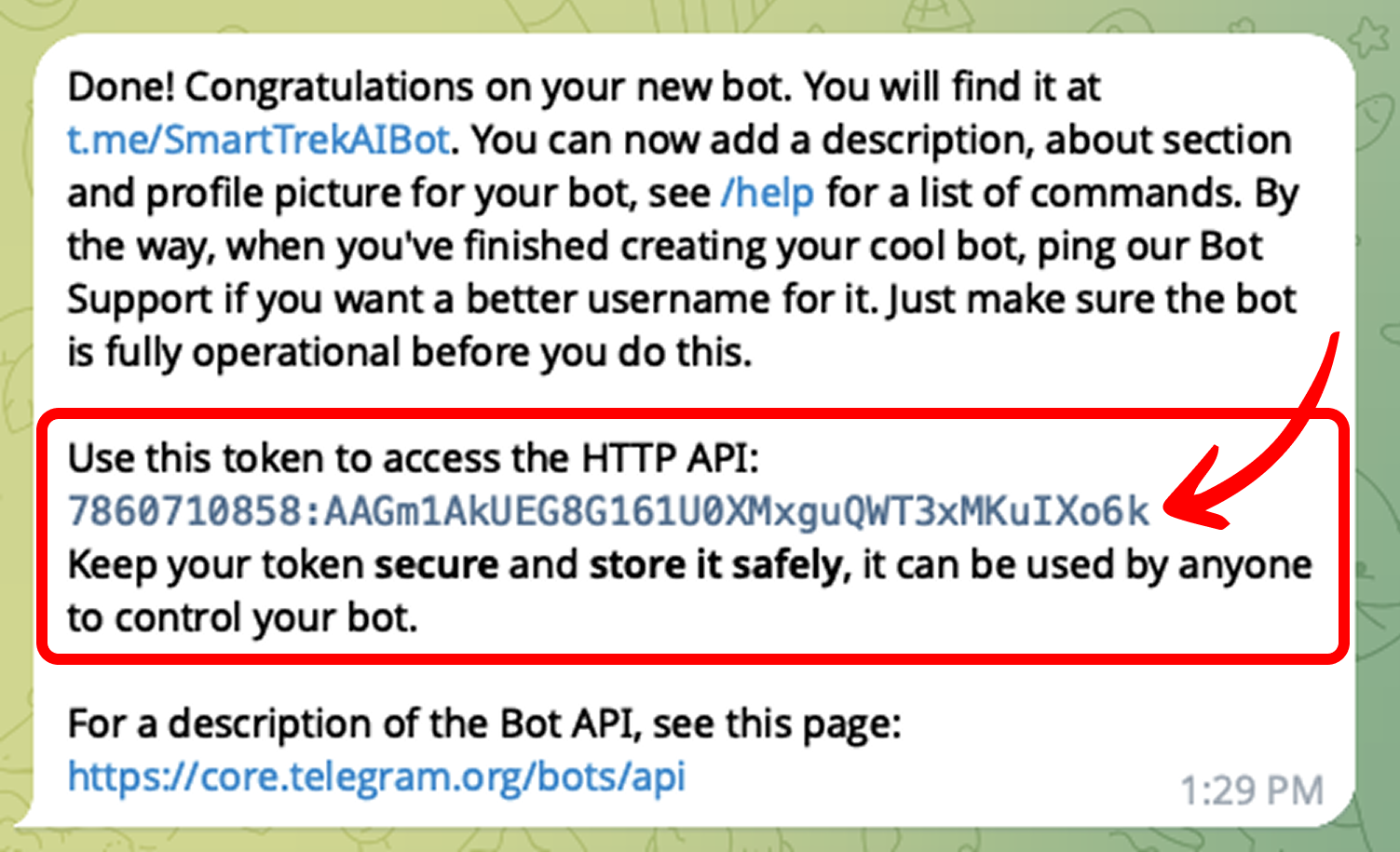 Copy Bot Username and Token from BotFather
